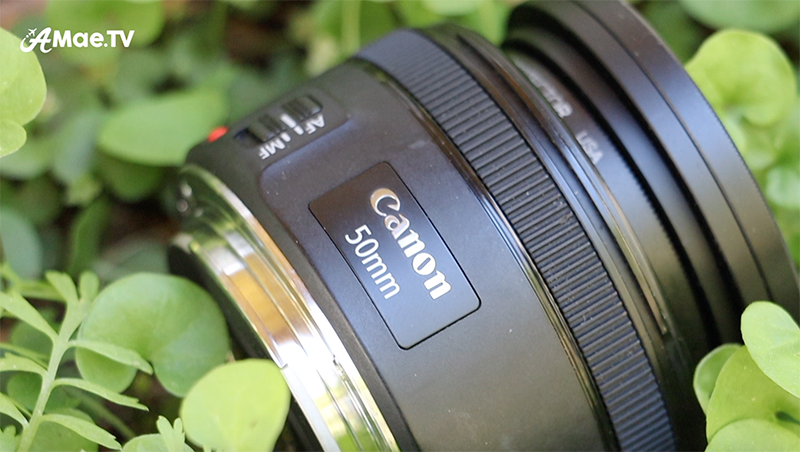 Canon 50mm Nifty Fifty