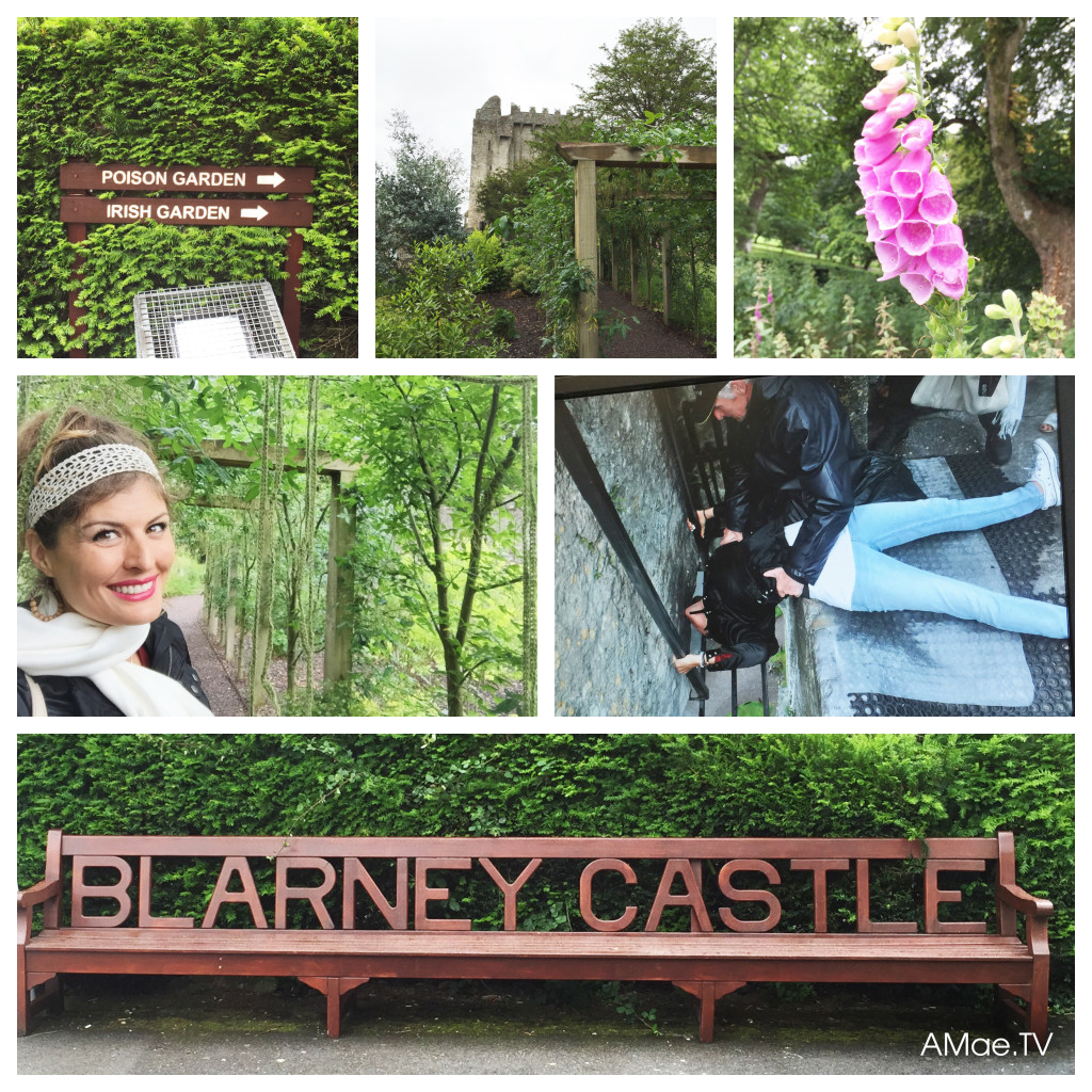 Blarney Castle and Blarney Stone