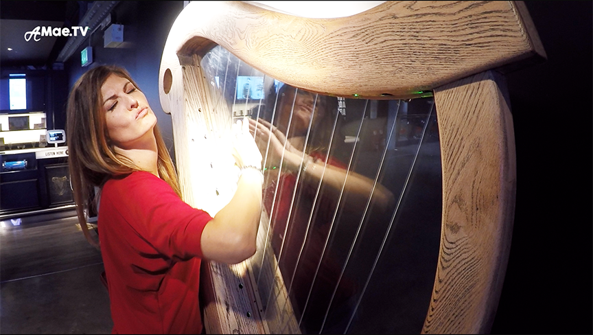 Playing The Guinness Harp