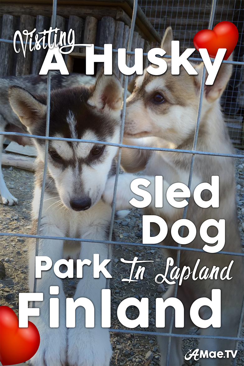 Come along for one of the best things to do in Lapland Finland. Visiting Husky Puppies at a Husky Sled Dog Park. 