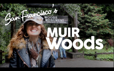Muir Woods Adventure In Northern California