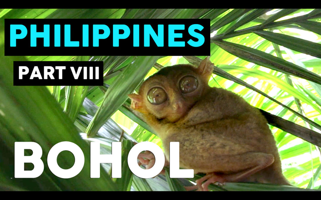 TOUR OF BOHOL, PHILIPPINES //  THE ULTIMATE DAY OF ADVENTURE